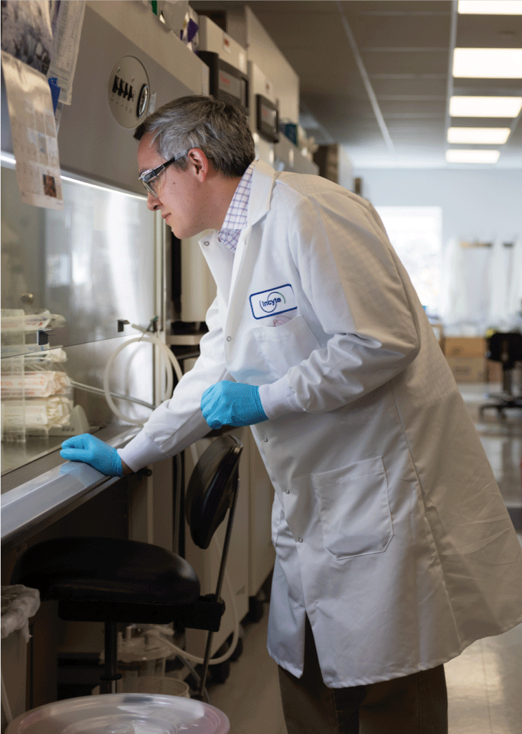 Oncology Image